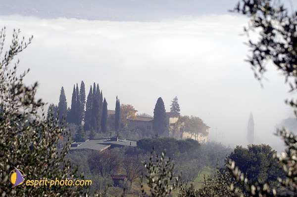 Nom de l'image : D1087248-01 — Description :