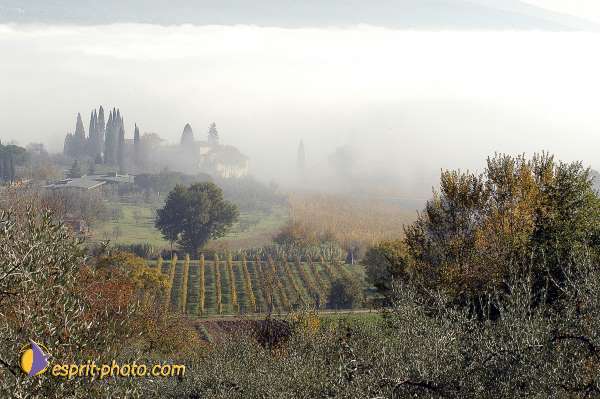 Nom de l'image : D1087260-01 — Description :