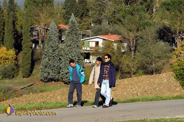 Nom de l'image : D1087410-01 — Description :