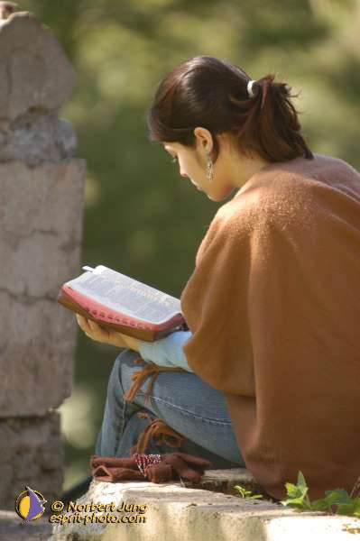 Nom de l'image : D1071033 — Description :