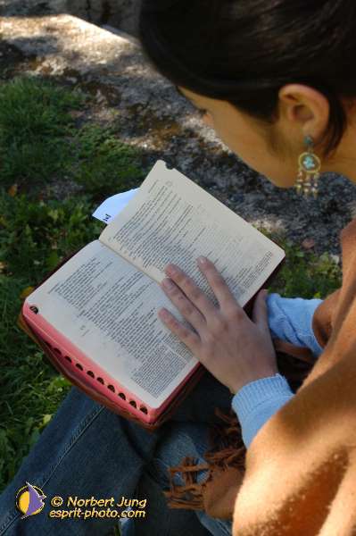 Nom de l'image : D1071044 — Description :