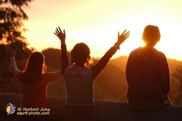 Nom de l'image : D1071274 — Description :