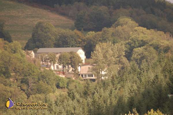 Nom de l'image : D1072775 — Description :