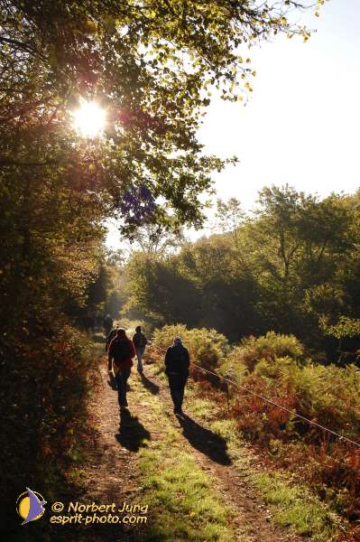 Nom de l'image : D1073278 — Description :