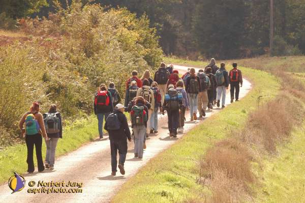 Nom de l'image : D1073431-01 — Description :