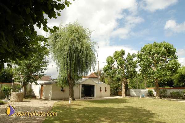 Nom de l'image : D1153390-01 — Description :