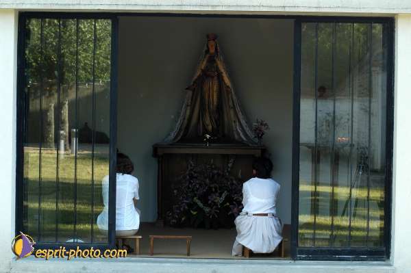 Nom de l'image : D1153629-01 — Description :