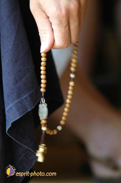 Nom de l'image : D1153648-01 — Description :