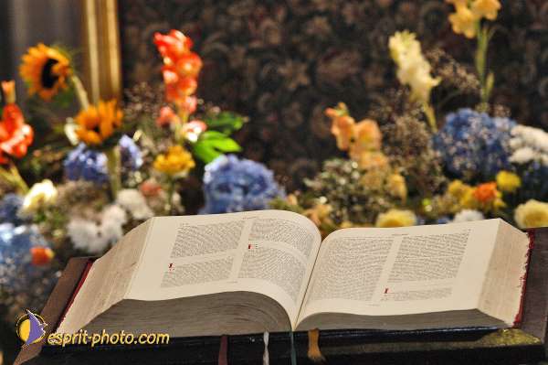 Nom de l'image : E00052520-1 — Description :