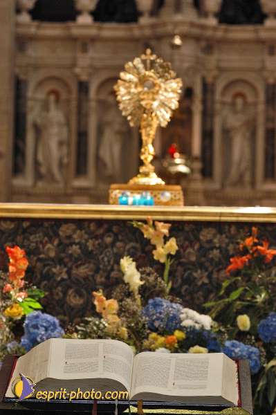 Nom de l'image : E00052521-1 — Description :