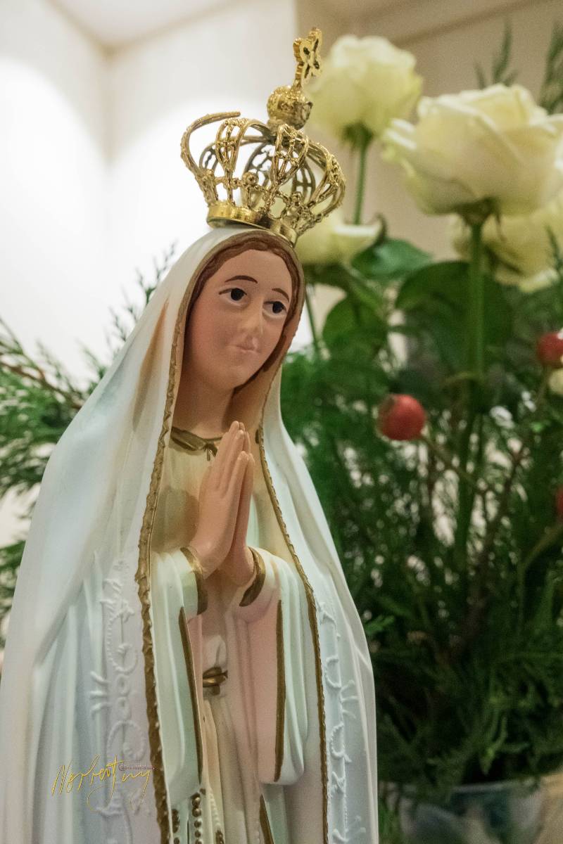 Nom de l'image : S1114658_c_Photographie.Pro — Description :