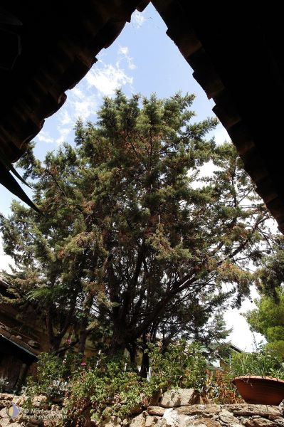 Nom de l'image : EP07c002 — Description :