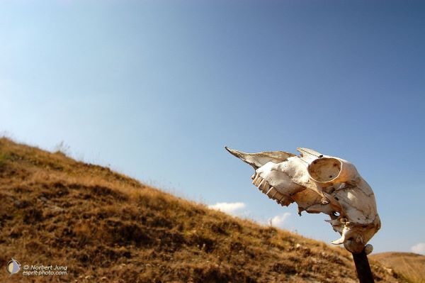 Nom de l'image : EP07c022 — Description :