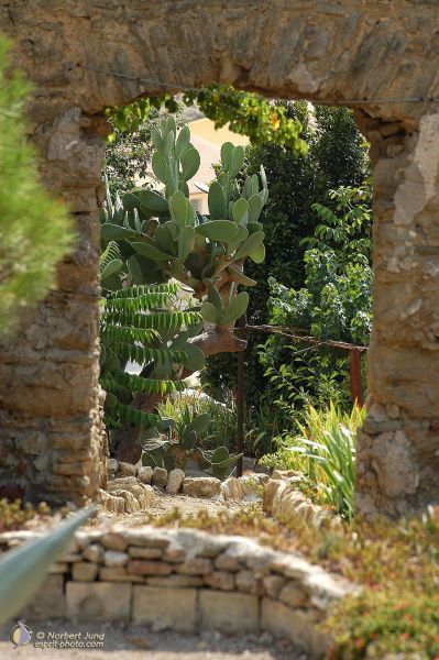 Nom de l'image : EP07c028 — Description :