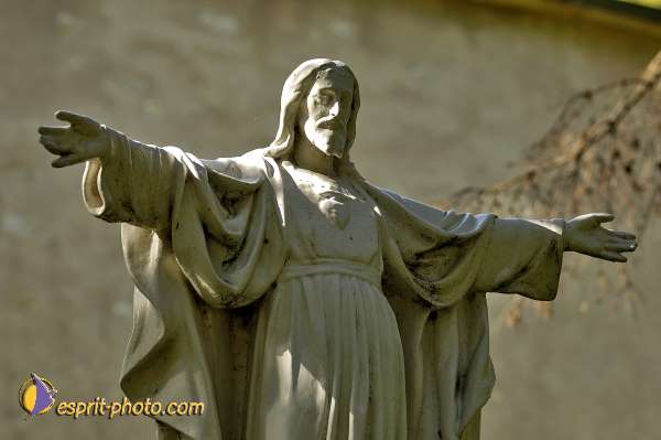 Nom de l'image : D2007481-1 — Description :