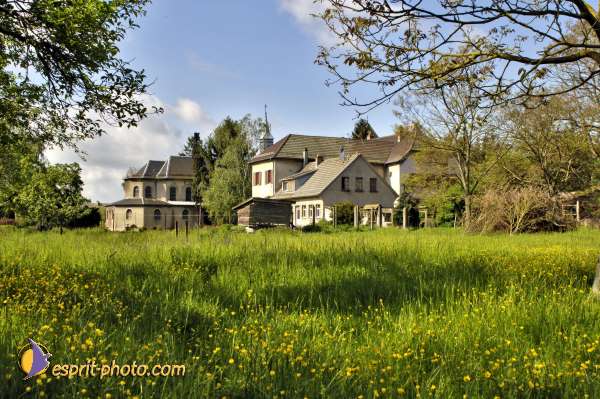 Nom de l'image : D2007488-1 — Description :