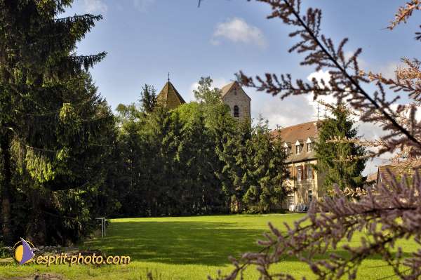 Nom de l'image : D2007497-1 — Description :