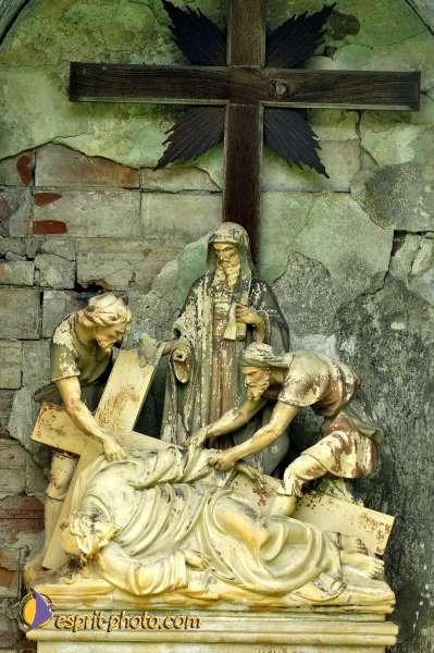 Nom de l'image : D2007644-1 — Description :