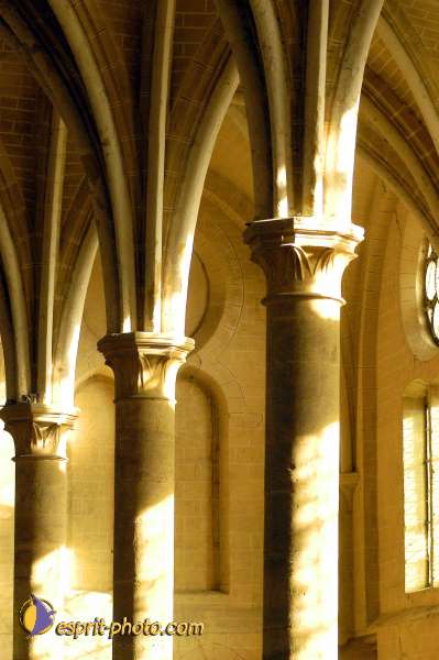 Nom de l'image : D1006251-01 — Description :  Ourscamp - Messe - Frères - Ruines - Apostolat 2002