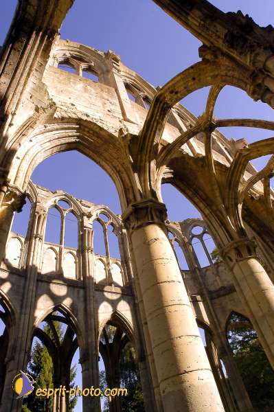 Nom de l'image : D1006396-01 — Description :  Ourscamp - Messe - Frères - Ruines - Apostolat 2002