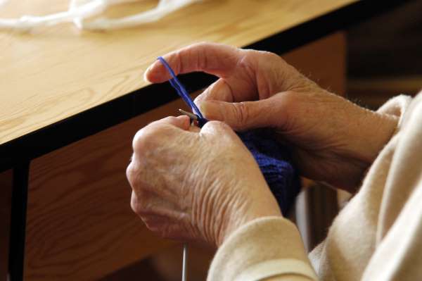 Nom de l'image : D1142129-01 — Description :