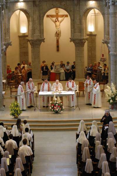 Nom de l'image : D1144166-01 — Description :