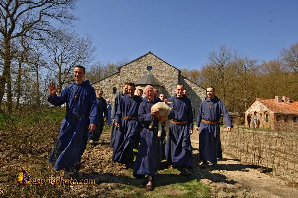 Nom de l'image : D2222294_1 — Description :