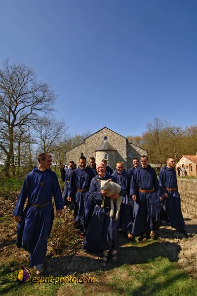 Nom de l'image : D2222297_1 — Description :