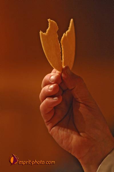 Nom de l'image : D2221663_1 — Description :