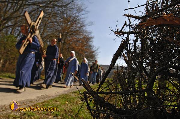 Nom de l'image : D2219652_1 — Description :