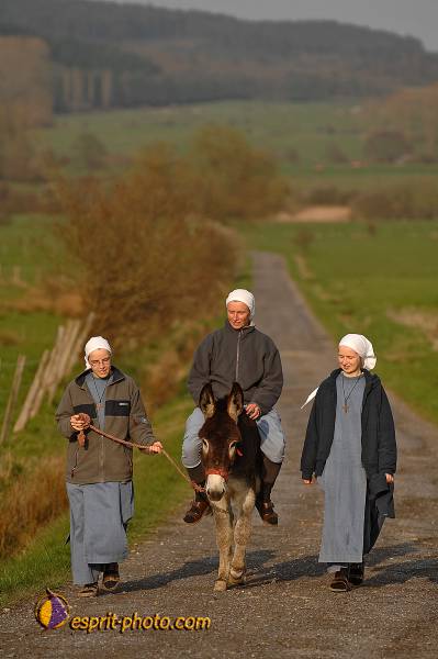 Nom de l'image : D2213443_1 — Description :