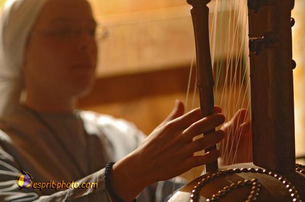 Nom de l'image : D2214764_1 — Description :