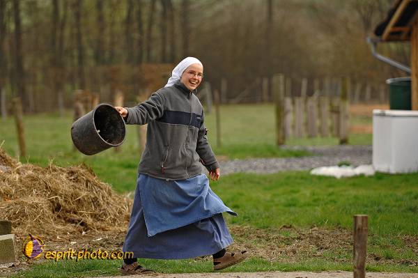 Nom de l'image : D2215419_1 — Description :