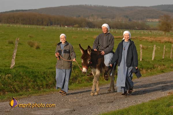 Nom de l'image : D2213451_1 — Description :