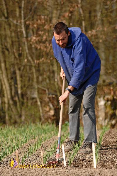 Nom de l'image : D2214206_1 — Description :