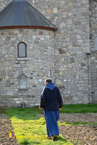 Nom de l'image : D2214541_1 — Description :