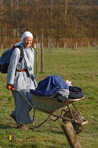 Nom de l'image : D2214566_1 — Description :