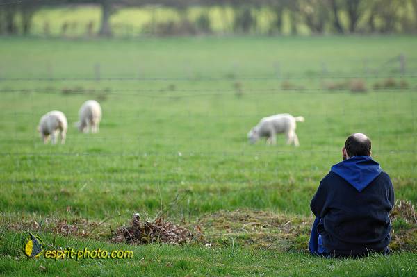 Nom de l'image : D2214613_1 — Description :