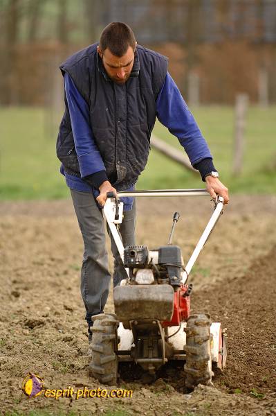 Nom de l'image : D2215447_1 — Description :