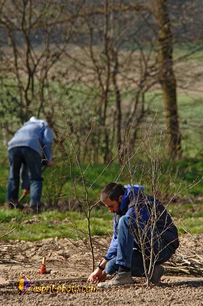 Nom de l'image : D2216114_1 — Description :