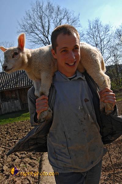 Nom de l'image : D2216704_1 — Description :