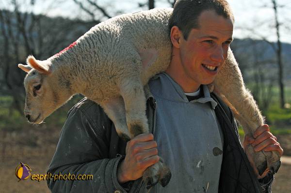 Nom de l'image : D2216707_2 — Description :