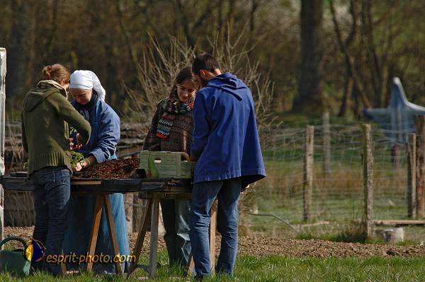 Nom de l'image : D2218655_1 — Description :