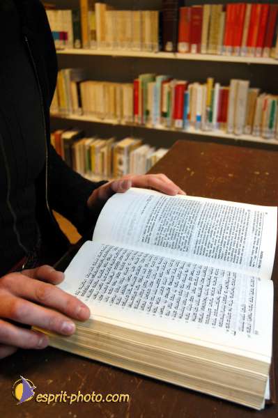 Nom de l'image : EG-300-11570 — Description :