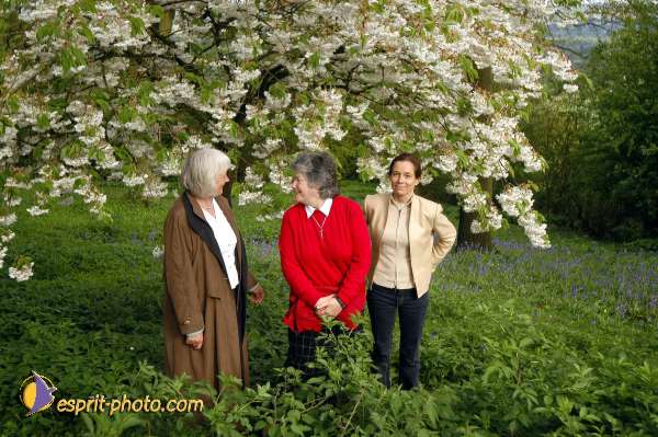 Nom de l'image : D1129964-01 — Description :