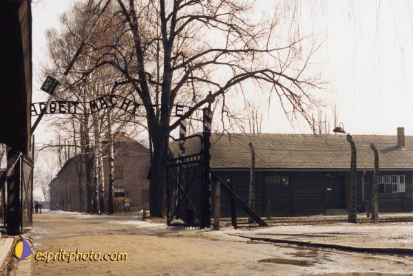 Auschwitz