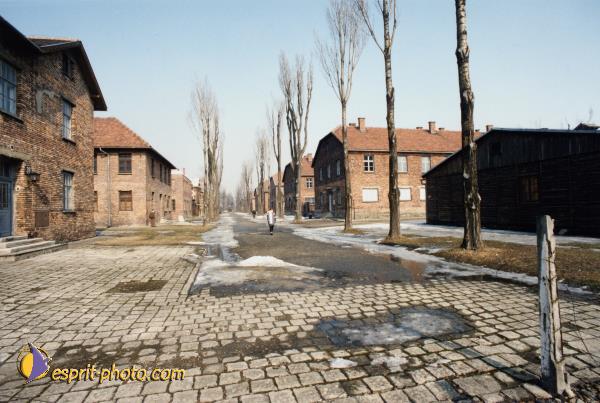 Nom de l'image : A1C01312 — Description :