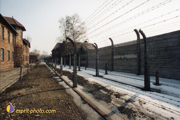 Nom de l'image : A1C01313 — Description :