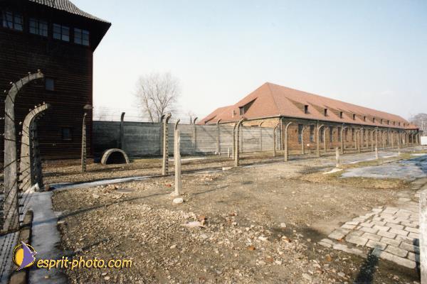 Nom de l'image : A1C01314 — Description :