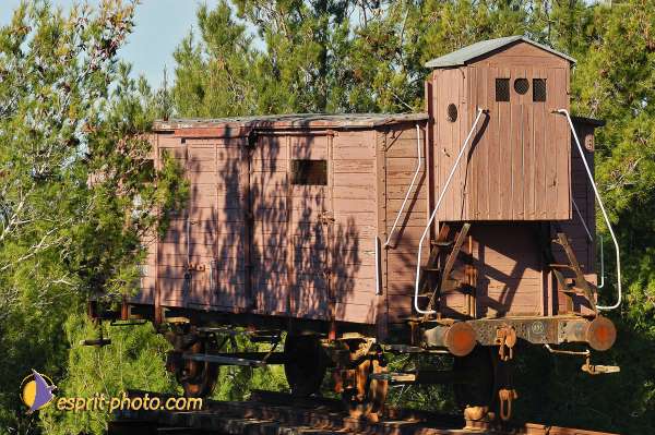 Nom de l'image : D1201643-1 — Description :  Voyage en Terre Sainte avec Jeunesse Lumière